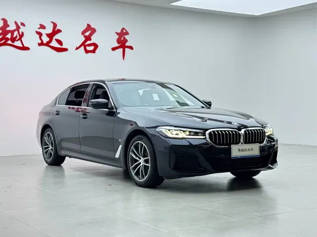 BMW 5 Series — Фото автомобиля 5