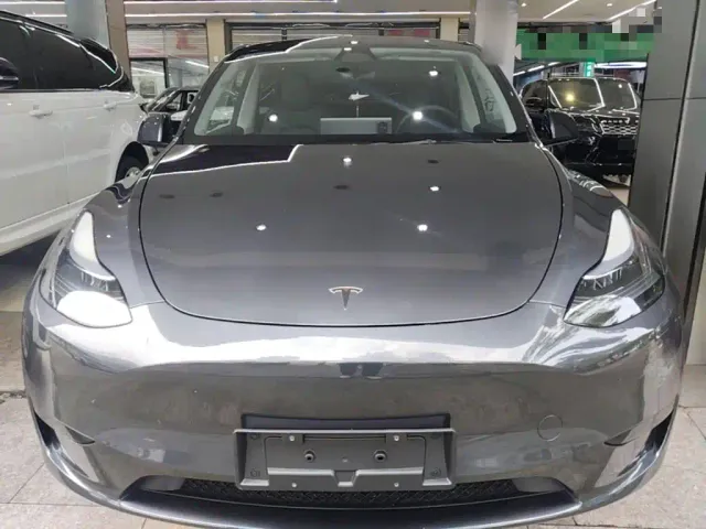 Tesla Model Y — Фото автомобиля 2
