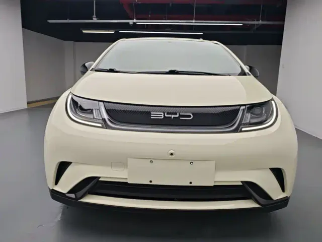 BYD Dolphin — Фото автомобиля 2