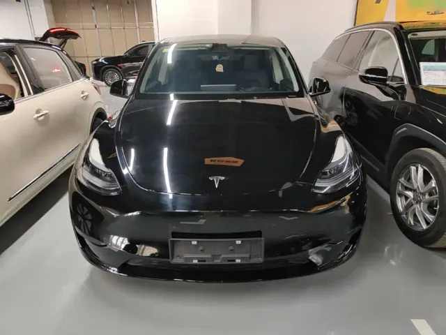 Tesla Model Y — Фото автомобиля 2