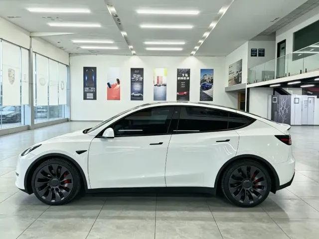 Tesla Model Y — Фото автомобиля 7