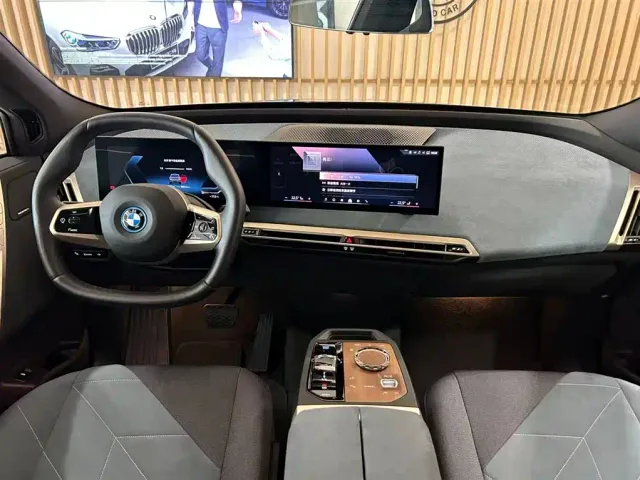 BMW iX — Фото автомобиля 6