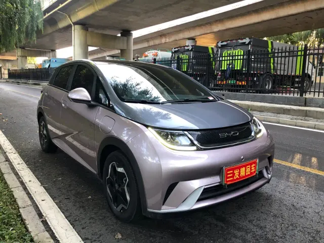 Фотография автомобиля — BYD Dolphin