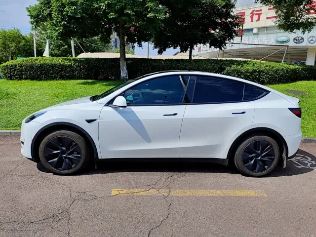 Tesla Model Y — Фото автомобиля 3