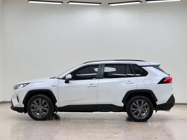 Toyota RAV4 Rongfang Dual Engine E+ — Фото автомобиля 14