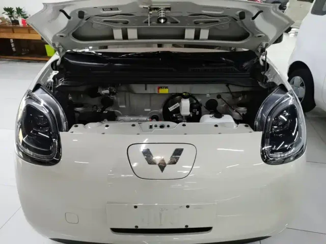 Wuling Hongguang Mini EV — Фото автомобиля 19