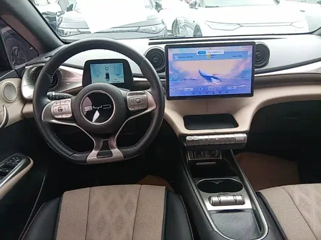 BYD Dolphin — Фото автомобиля 10