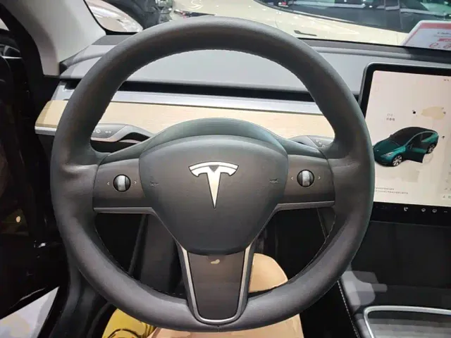 Tesla Model Y — Фото автомобиля 10