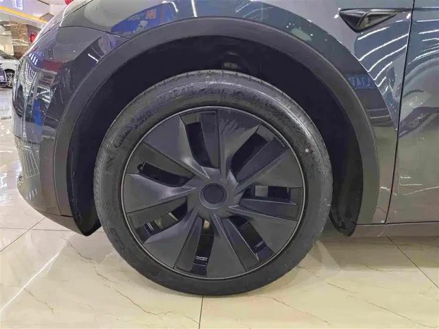 Tesla Model Y — Фото автомобиля 10