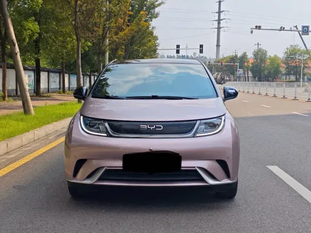 BYD Dolphin — Фото автомобиля 2