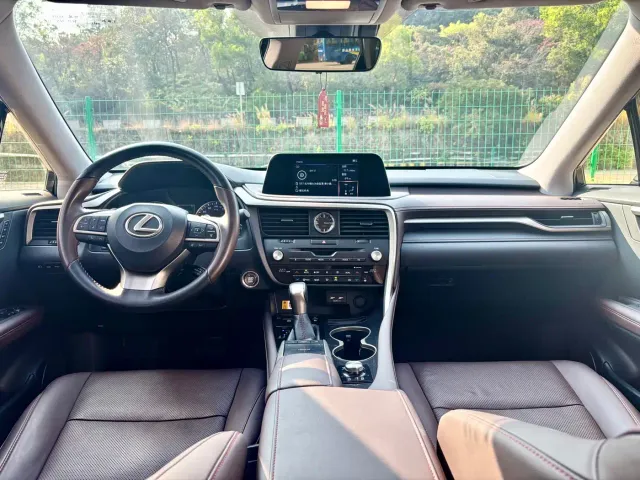 Lexus RX — Фото автомобиля 13