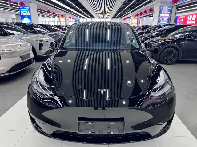 Tesla Model Y — Фото автомобиля 2