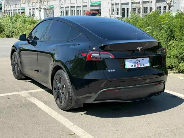 Tesla Model Y — Фото автомобиля 9