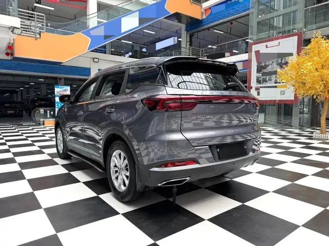 Chery Tiggo 7 PLUS — Фото автомобиля 14
