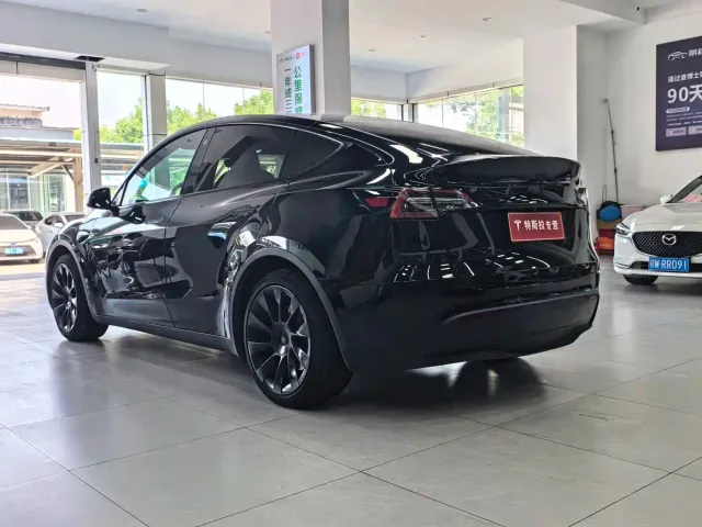 Tesla Model Y — Фото автомобиля 17