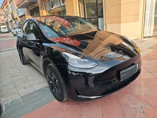 Tesla Model Y — Фото автомобиля 3