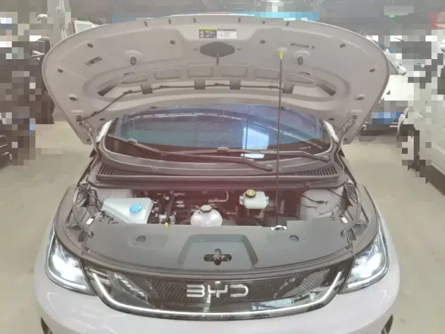 BYD Dolphin — Фото автомобиля 19