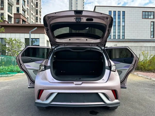 BYD Dolphin — Фото автомобиля 13