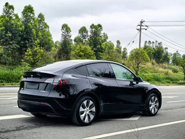 Tesla Model Y — Фото автомобиля 6