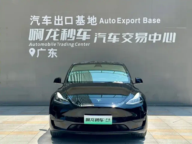 Tesla Model Y — Фото автомобиля 2