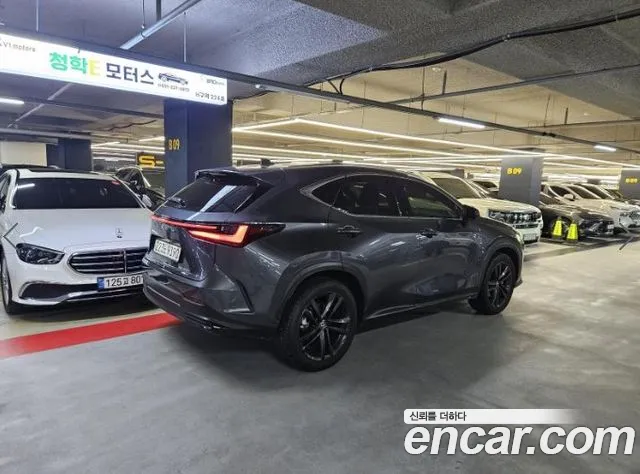 Lexus NX Generation 2 — Фото автомобиля 3
