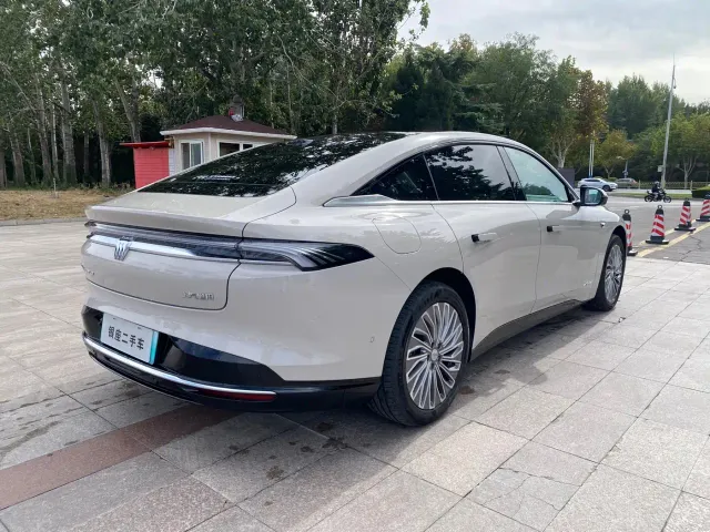 Buick Electra L7 — Фото автомобиля 4