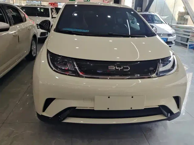 BYD Dolphin — Фото автомобиля 2