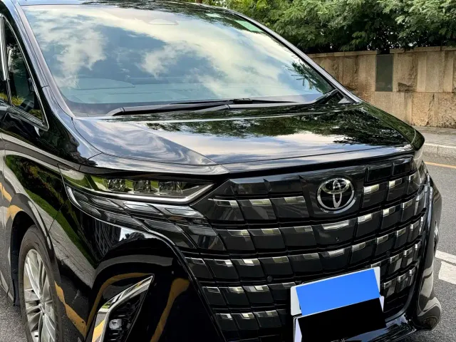 Toyota Alphard — Фото автомобиля 6