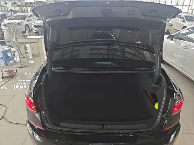 Volkswagen Passat — Фото автомобиля 18