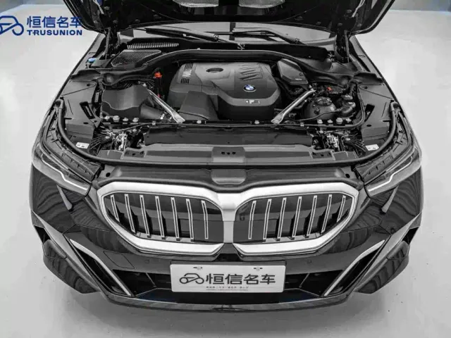 BMW 5 Series — Фото автомобиля 21