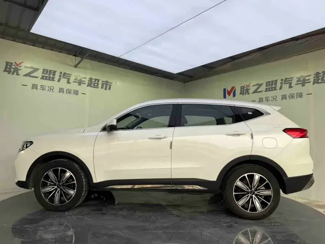 Haval H6 — Фото автомобиля 9