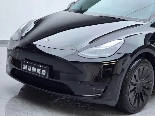 Tesla Model Y — Фото автомобиля 3