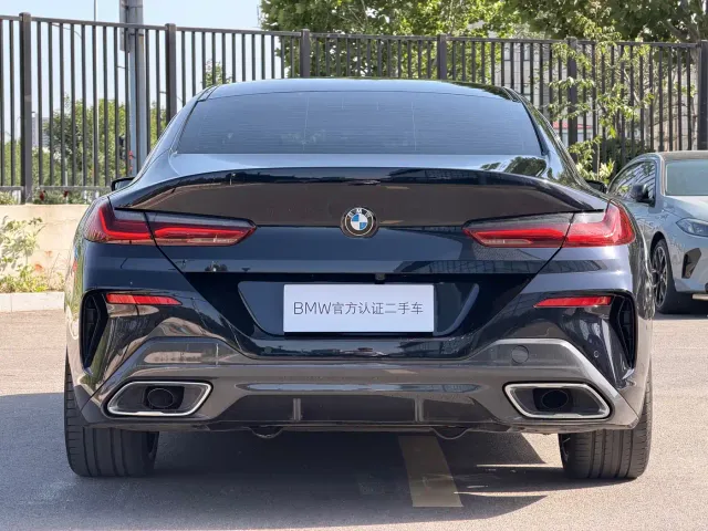 BMW 8 Series — Фото автомобиля 29