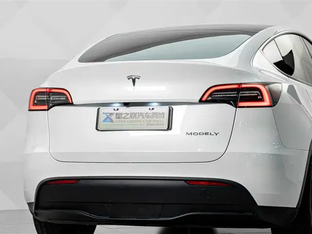 Tesla Model Y — Фото автомобиля 7