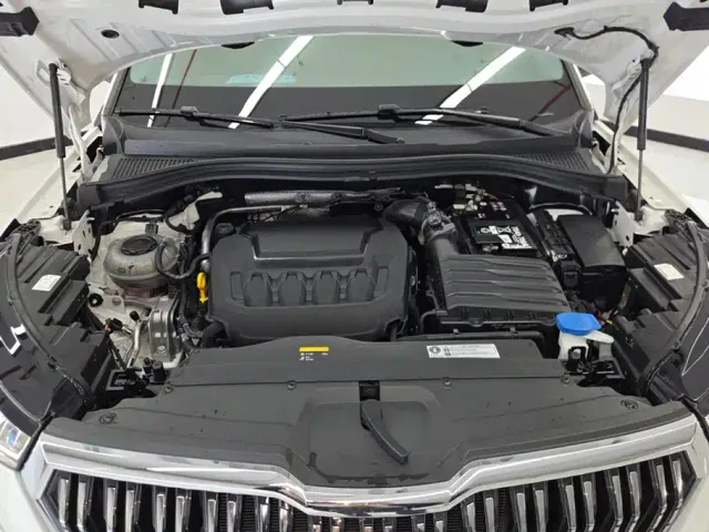 Skoda Kodiaq — Фото автомобиля 10