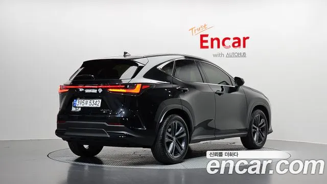 Lexus NX 2nd Gen — Фото автомобиля 2
