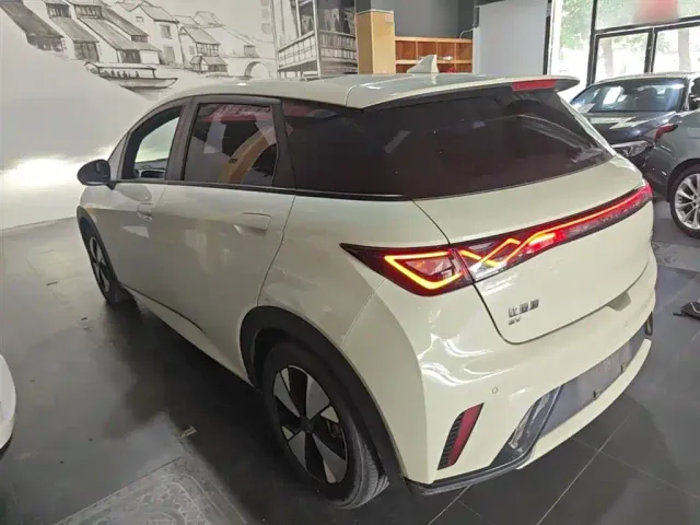 BYD Dolphin — Фото автомобиля 4