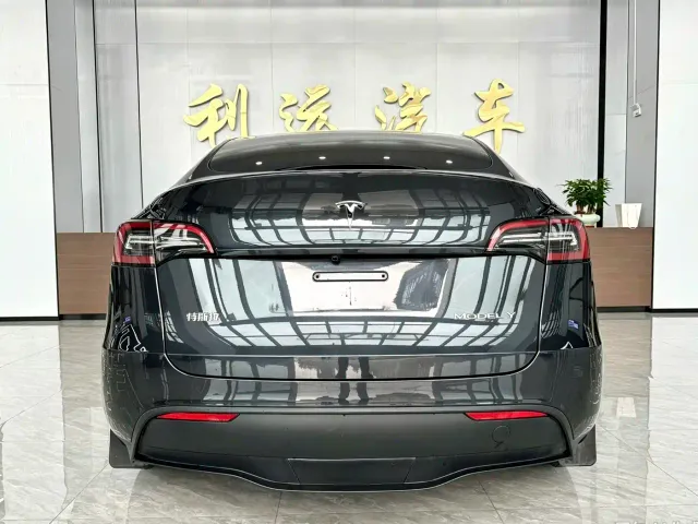Tesla Model Y — Фото автомобиля 14