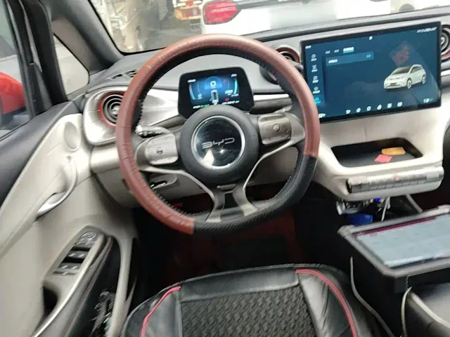 BYD Dolphin — Фото автомобиля 10
