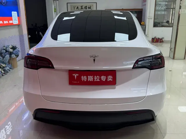 Tesla Model Y — Фото автомобиля 9