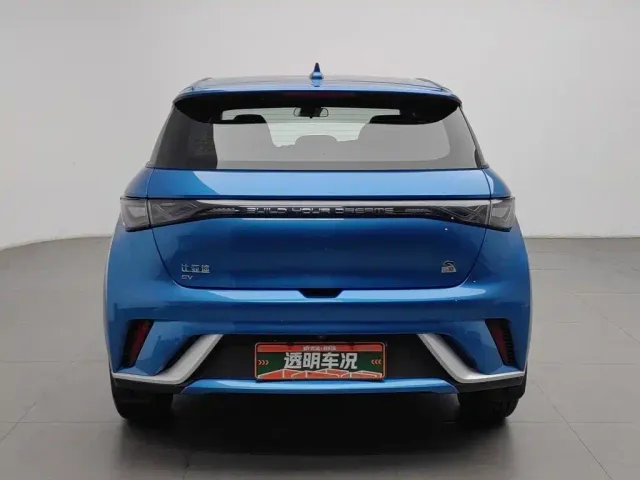 BYD Dolphin — Фото автомобиля 4