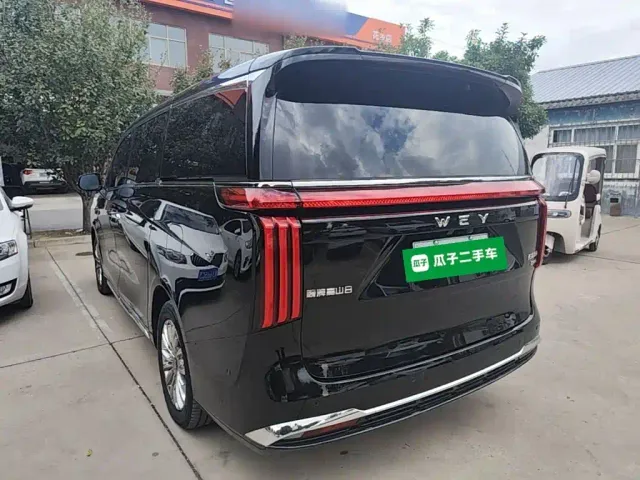 Wey Alpine — Фото автомобиля 4