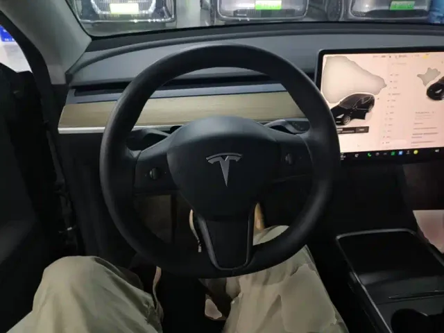 Tesla Model Y — Фото автомобиля 10