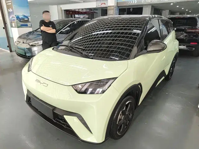 Фотография автомобиля — BYD Seagull