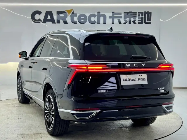 Wey Lanshan — Фото автомобиля 6