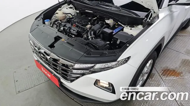 Hyundai Tucson Tucson (NX4) Бензин 1.6 турбо 2WD — Фото автомобиля 6