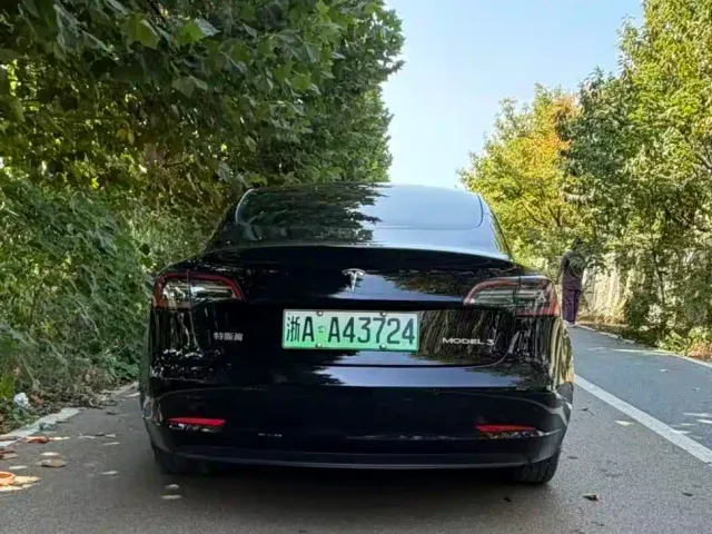 Tesla Model 3 — Фото автомобиля 13