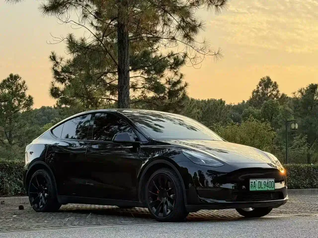 Tesla Model Y — Фото автомобиля 3