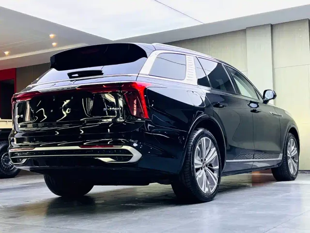Hongqi E-HS9 — Фото автомобиля 4