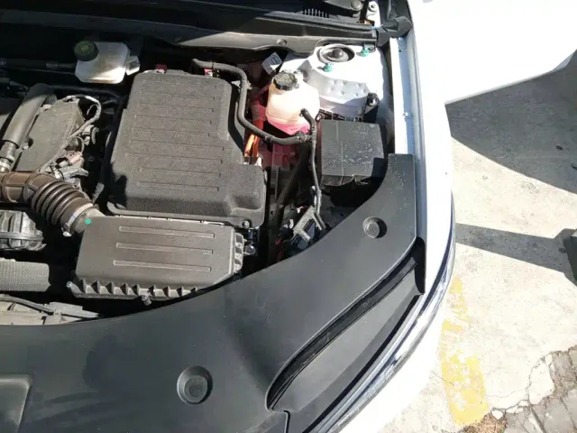BYD Qin PLUS — Фото автомобиля 22